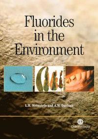 bokomslag Fluorides in the Environment