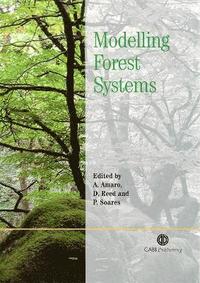 bokomslag Modelling Forest Systems