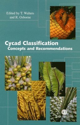 bokomslag Cycad Classification