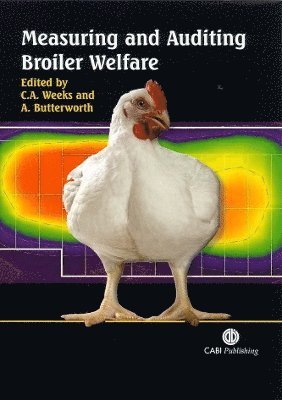 bokomslag Measuring and Auditing Broiler Welfare