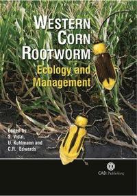 bokomslag Western Corn Rootworm