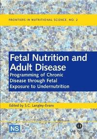 bokomslag Fetal Nutrition and Adult Disease