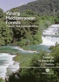 bokomslag Valuing Mediterranean Forests
