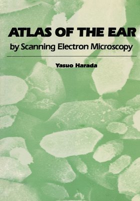 bokomslag Atlas of the Ear: By Scanning Electron Microscopy
