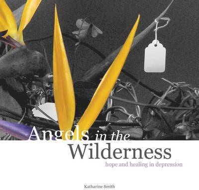 Katharine Smith - Angels in the Wilderness, Häftad