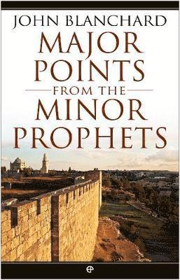 bokomslag Major Points from the Minor Prophets