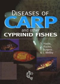 bokomslag Diseases of Carp and Other Cyprinid Fishes