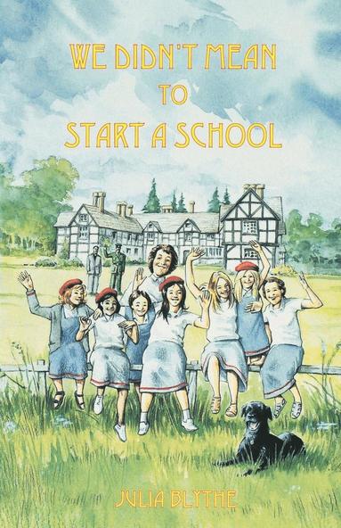 Joanna Bogle, Julia Blythe - We Didn't Mean to Start A School, Häftad