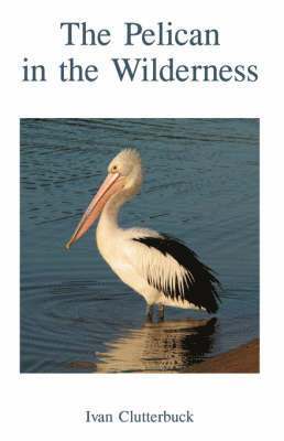 The Pelican in the Wilderness 1