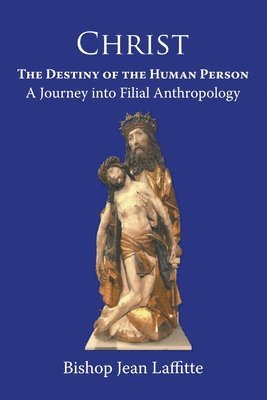 bokomslag Christ, the Destiny of the Human Person