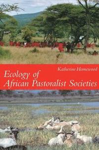 bokomslag Ecology of African Pastoralist Societies