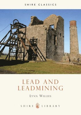 bokomslag Lead and Leadmining