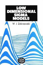 bokomslag Low Dimensional Sigma Models