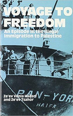 bokomslag Voyage To Freedom