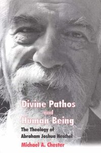 bokomslag Divine Pathos and Human Being
