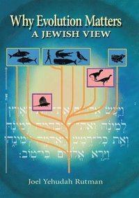 bokomslag Why Evolution Matters: A Jewish View