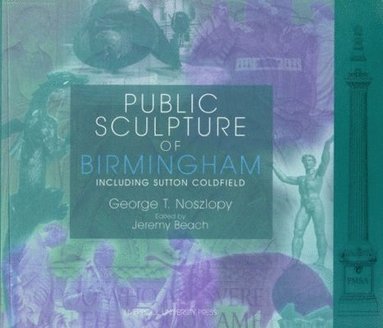 bokomslag Public Sculpture of Birmingham