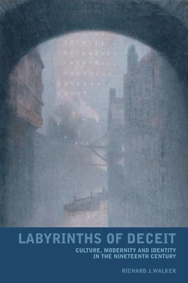 Richard J. Walker - Labyrinths of Deceit, Inbunden