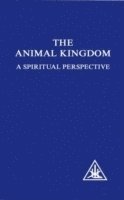 bokomslag Animal Kingdom