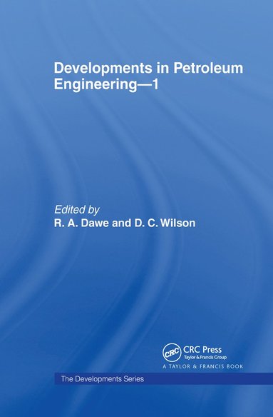 bokomslag Developments in Petroleum Engineering 1