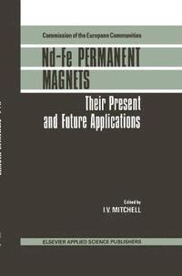 bokomslag Nd-Fe Permanent Magnets