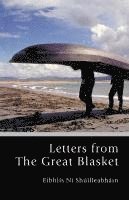 bokomslag Letters from The Great Blasket