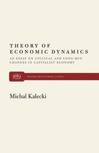bokomslag Theory of Economic Dynamics