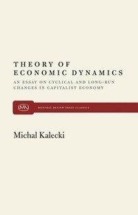 bokomslag Theory of Economic Dynamics