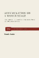 Samir Amin - Accumulation on a World Scale, Inbunden