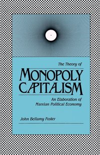 bokomslag Theory Of Monopoly Capitalism