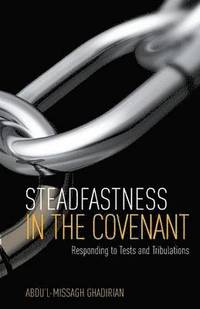 bokomslag Steadfastness in the Covenant