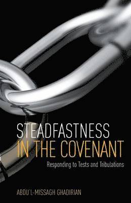 bokomslag Steadfastness in the Covenant