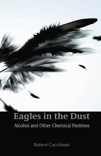 bokomslag Eagles in the Dust