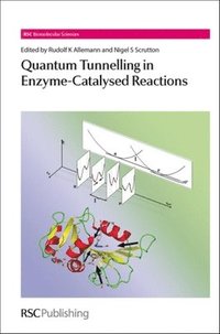 bokomslag Quantum Tunnelling in Enzyme-Catalysed Reactions