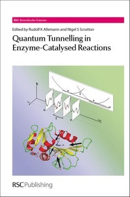 Quantum Tunnelling in Enzyme-Catalysed Reactions 1
