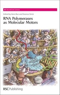 bokomslag RNA Polymerases as Molecular Motors