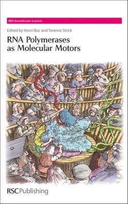 Henri Buc, Terence Strick, France) Buc, Henri (Institut Pasteur, France) Strick, Terence (Institut Jacques Monod, Stephen Neidle, Marius Clore, David M J Lilley, Simon Campbell - RNA Polymerases as Molecular Motors, Inbunden