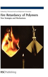 bokomslag Fire Retardancy of Polymers