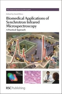 bokomslag Biomedical Applications of Synchrotron Infrared Microspectroscopy