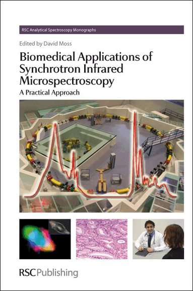 David Moss - Biomedical Applications of Synchrotron Infrared Microspectroscopy, Inbunden