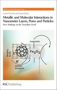 bokomslag Metallic and Molecular Interactions in Nanometer Layers, Pores and Particles