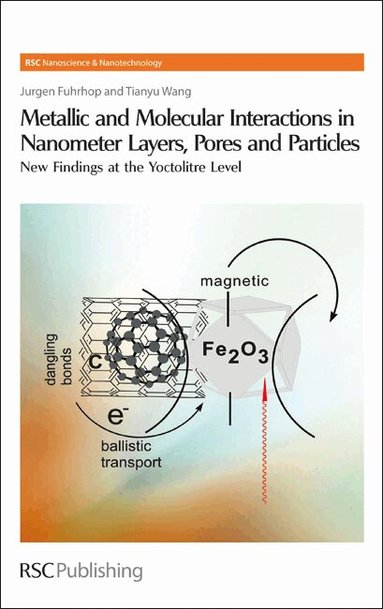 Jurgen-Hinrich Fuhrhop, Tianyu Wang - Metallic and Molecular Interactions in Nanometer Layers, Pores and Particles, Inbunden