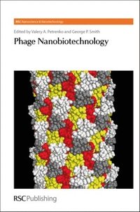 bokomslag Phage Nanobiotechnology