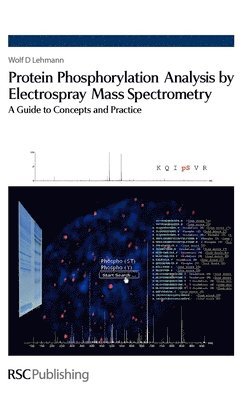 bokomslag Protein Phosphorylation Analysis by Electrospray Mass Spectrometry