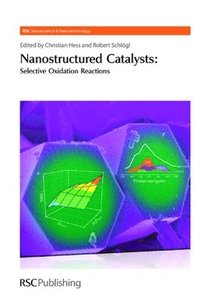 bokomslag Nanostructured Catalysts