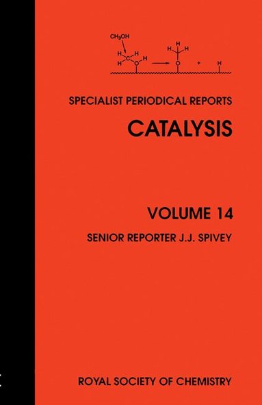 James J Spivey - Catalysis, Inbunden