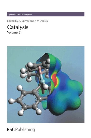James J Spivey, K M Dooley - Catalysis, Inbunden