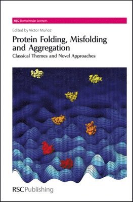 bokomslag Protein Folding, Misfolding and Aggregation