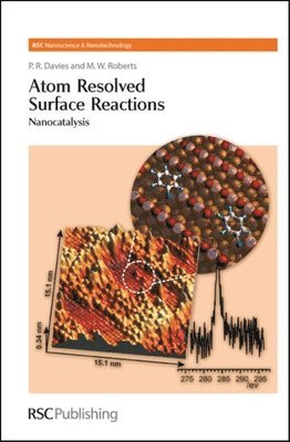 bokomslag Atom Resolved Surface Reactions