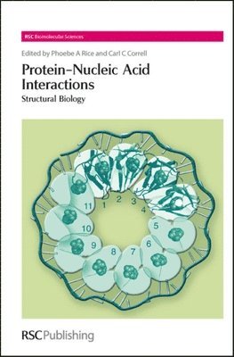 Protein-Nucleic Acid Interactions 1